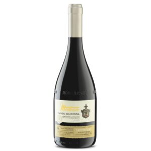 Vinho Tinto Campo Madonna Cabernet Sauvignon 750ml