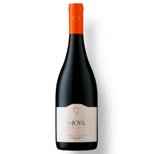 Vinho Tinto La Joya Gran Reserva Syrah 750ml